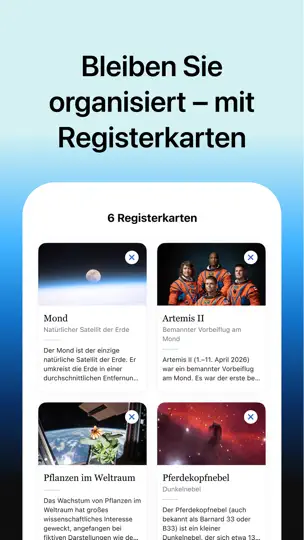 Screenshot von Wikipedia auf dem iPhone 2