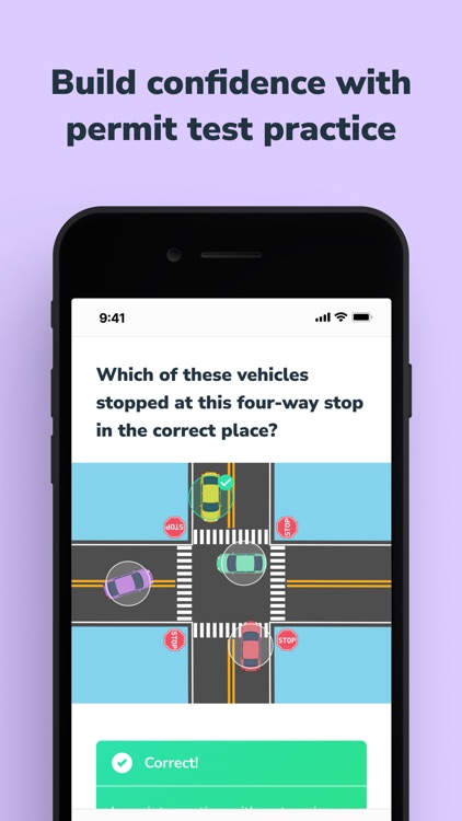 Teen & Adult Drivers Ed Online screenshot-3