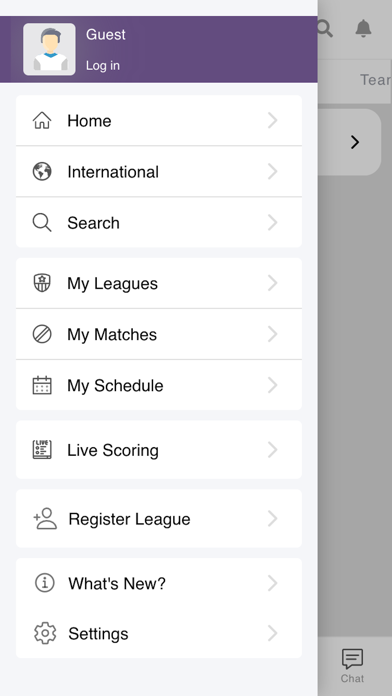 Millennium Cricket League Screenshot