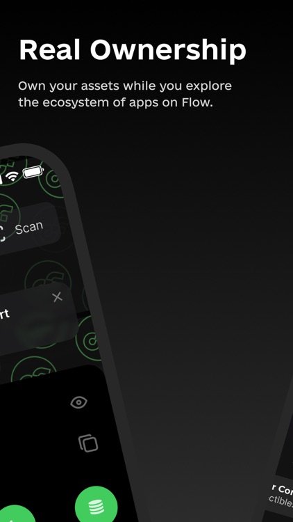 Flow Wallet - NFTs and Crypto