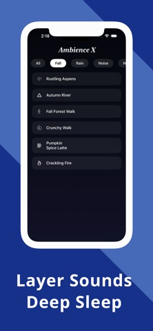 AmbienceX Screenshot 4 of 5