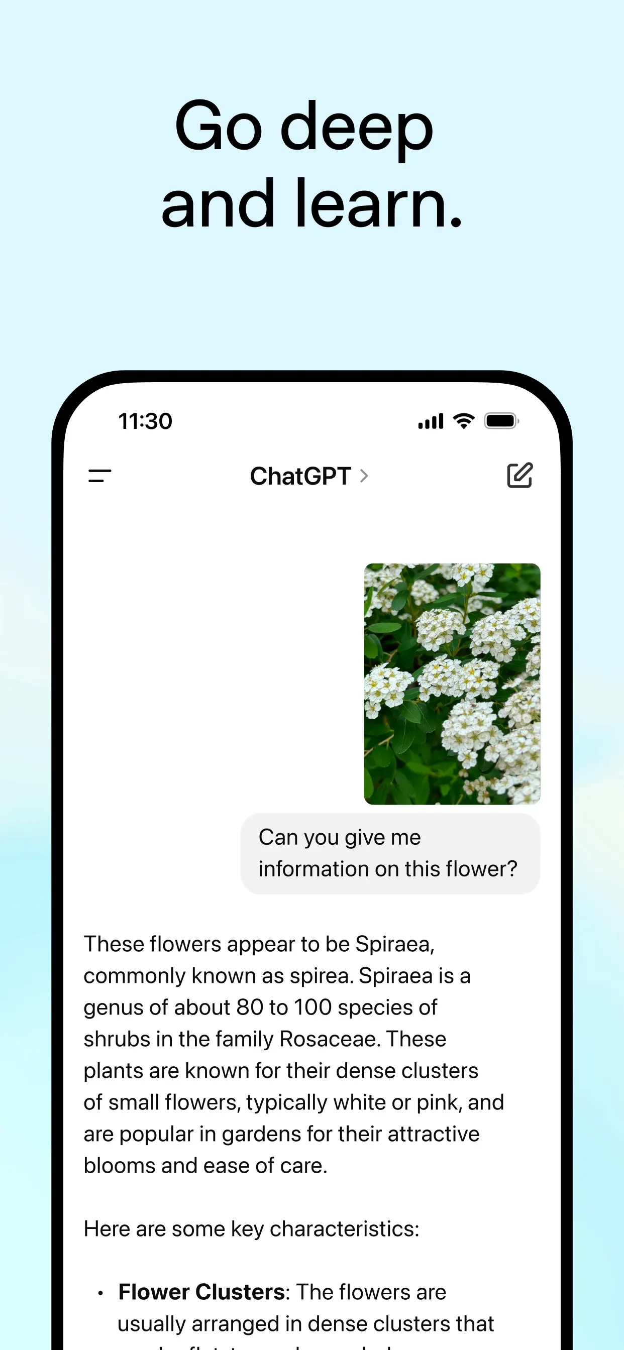 ChatGPT screenshot 4