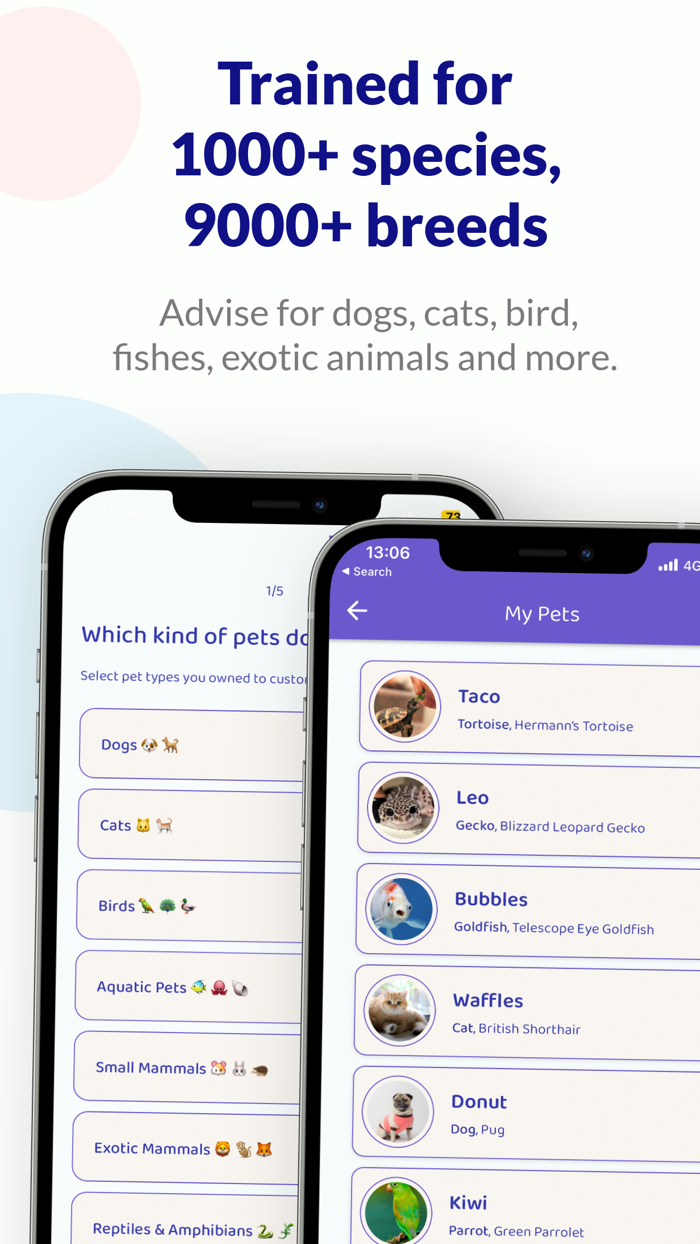 Petvise AI Pet Wellness Guide