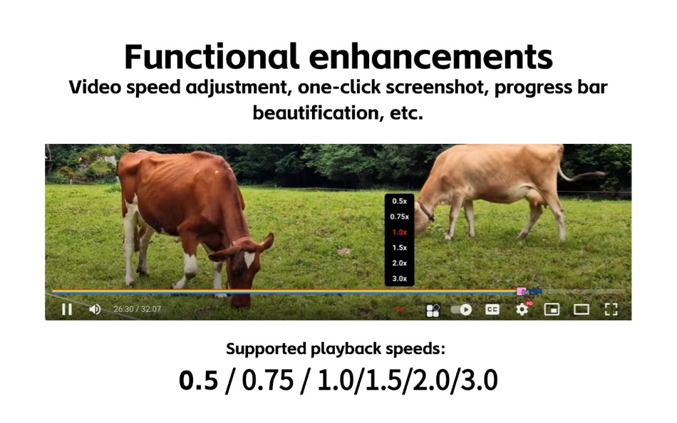 #4. Enhancer for YouTube™ (macOS) 由: Sichuan Yizhi Yueding E - Commerce Co., Ltd.