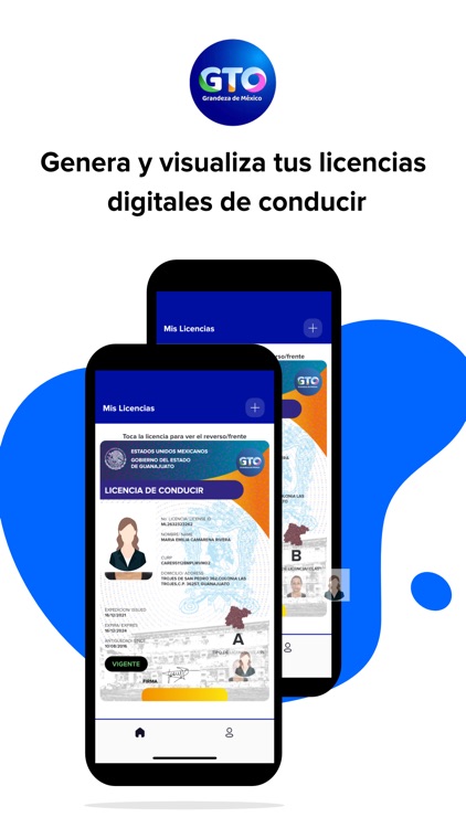 LICENCIA DIGITAL GTO