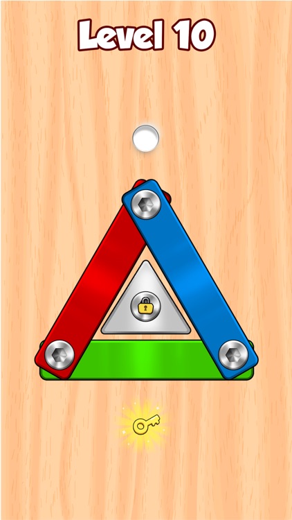 Screw Masters - Pin Puzzle