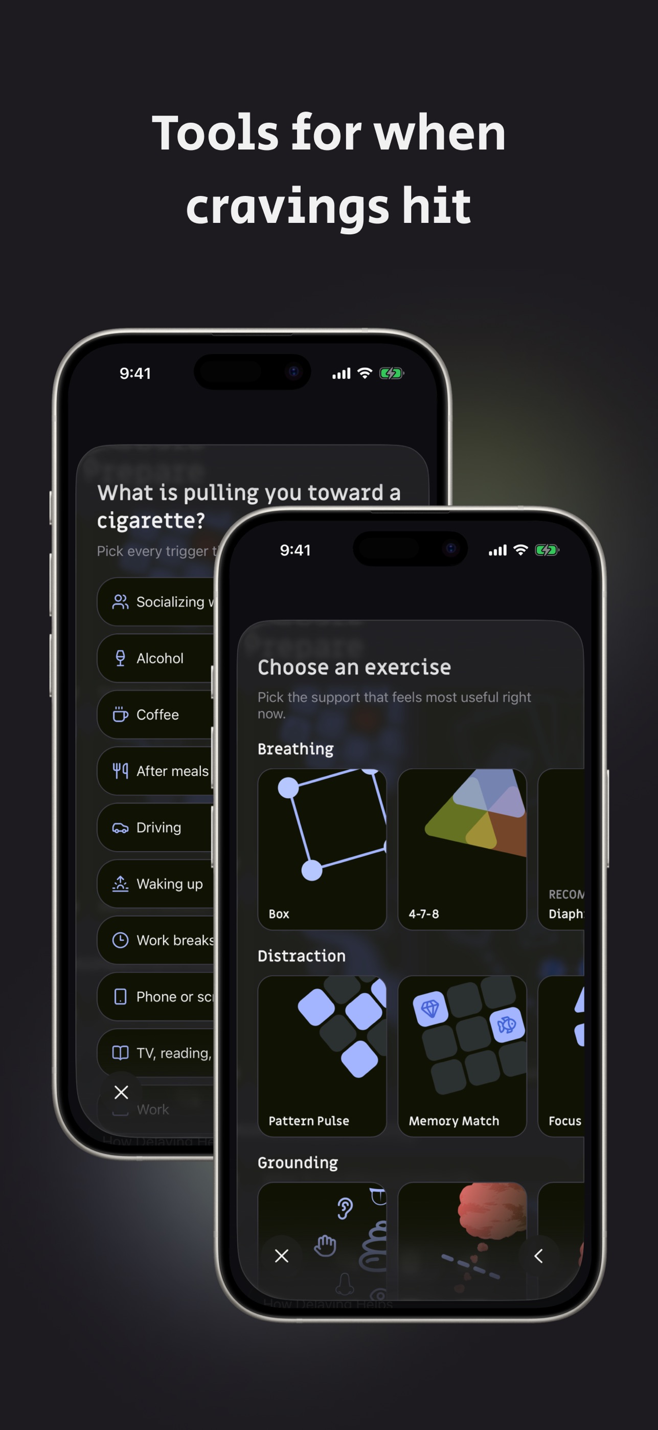 Screenshot 3 of Quit Smoking: BreakLoop