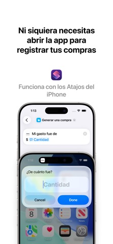 Saldoo screenshot