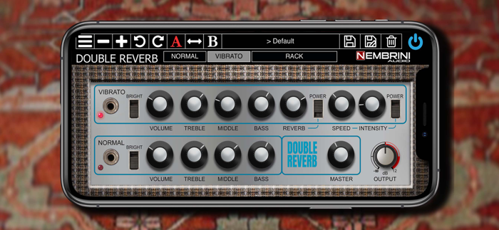 Double Reverb Guitar Amplifier