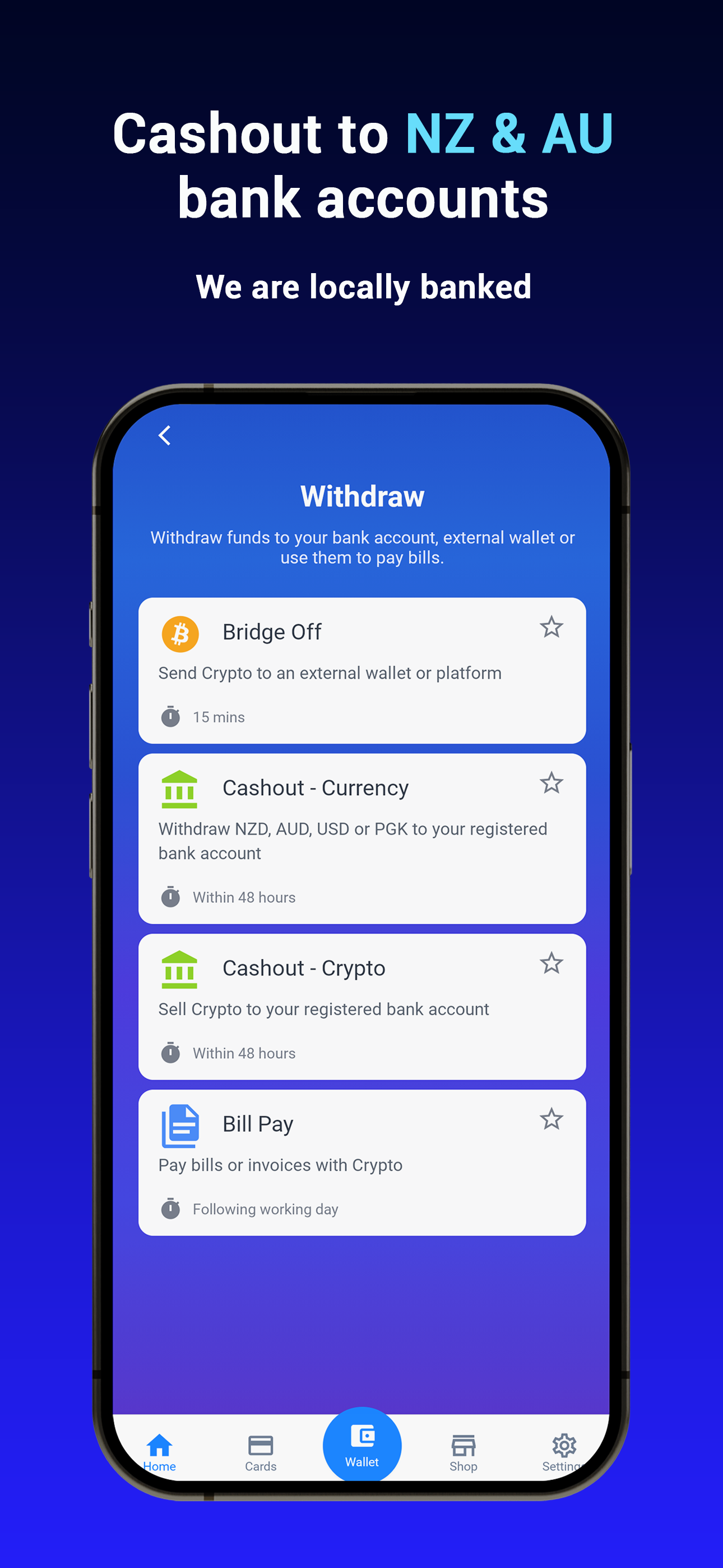 Pay It Now - PIN Network