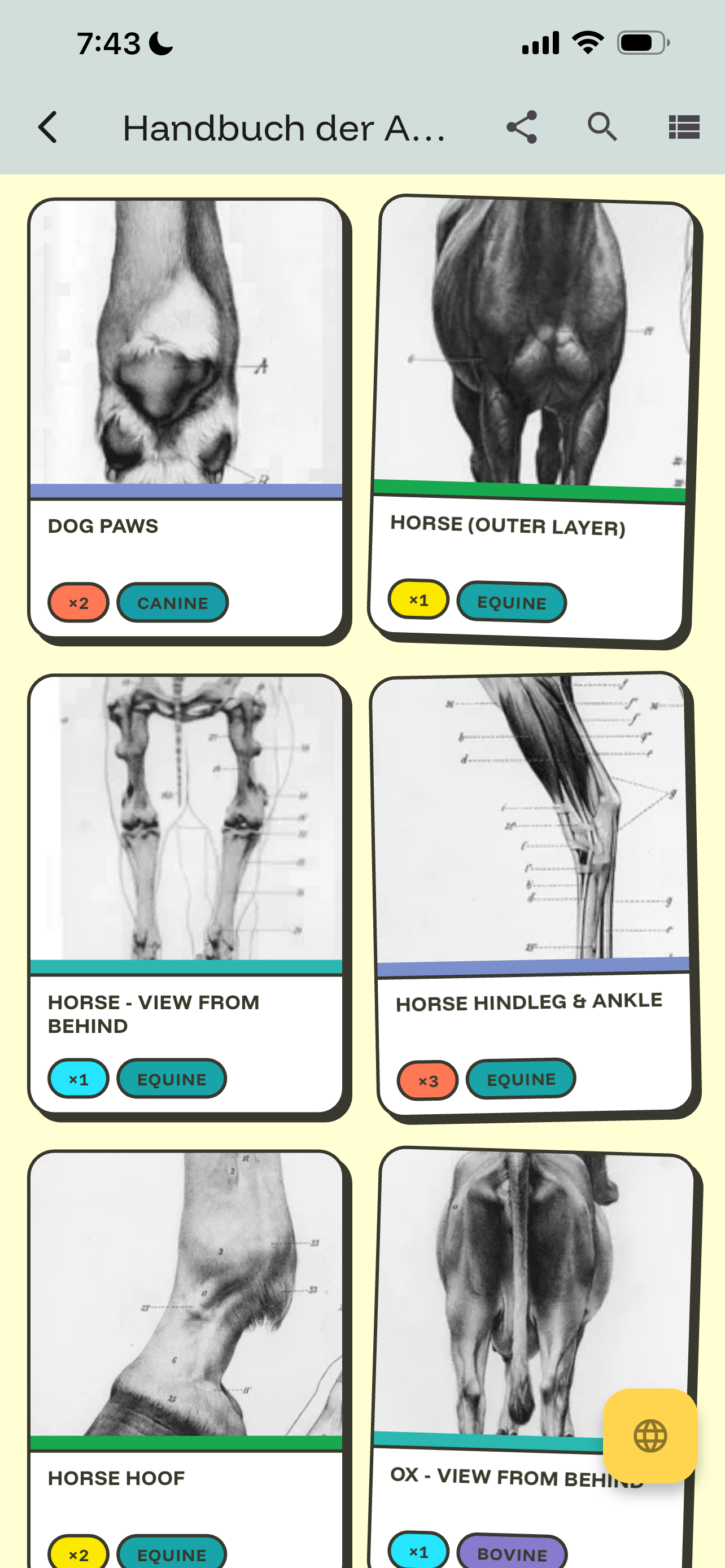 Kineograph: Flipbook for Study