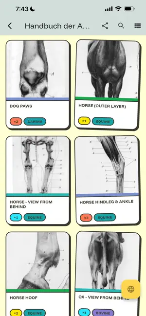 Kineograph: Flipbook for Study screenshot 3