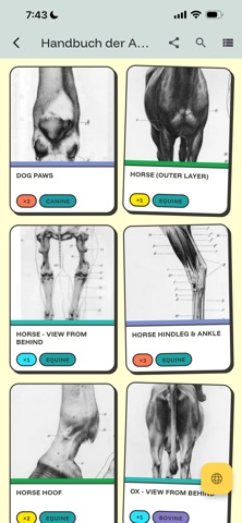 Kineograph: Flipbook for Study Screenshot 3 of 10