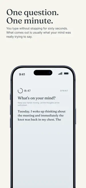 Clarity, 1-min Journal screenshot 2