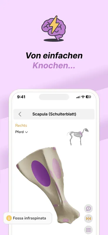 Vetflow - Anatomie lernen screenshot 1 of 6