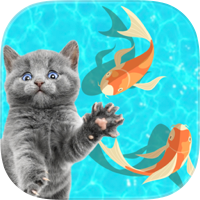 Juegos para Gatos Gatitos Meow