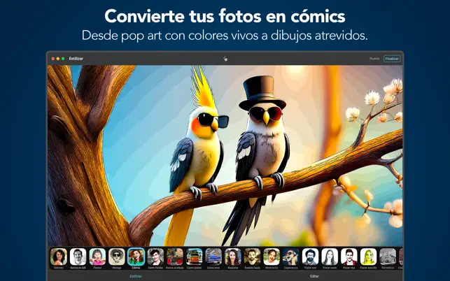 Clip2Comic: Cartoon Photo4+_1