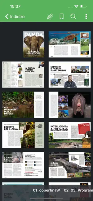 Panda Magazine screenshot 4