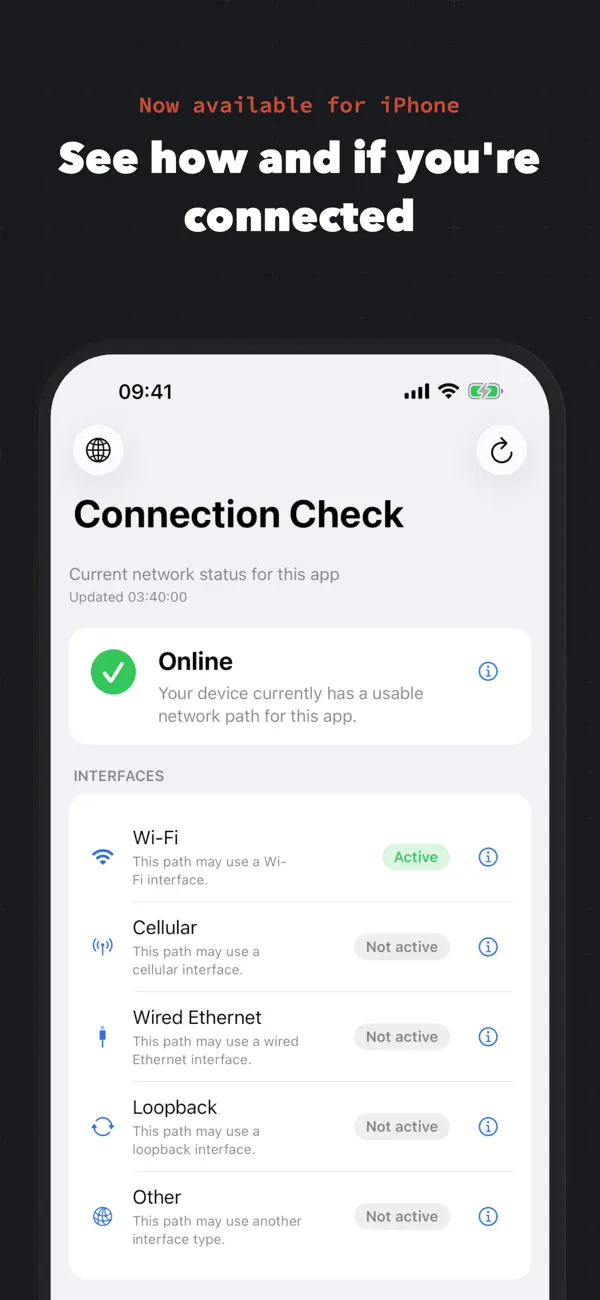 Screenshot #1 pour Connection Check