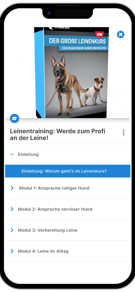 Mit Hunden Leben screenshot 2