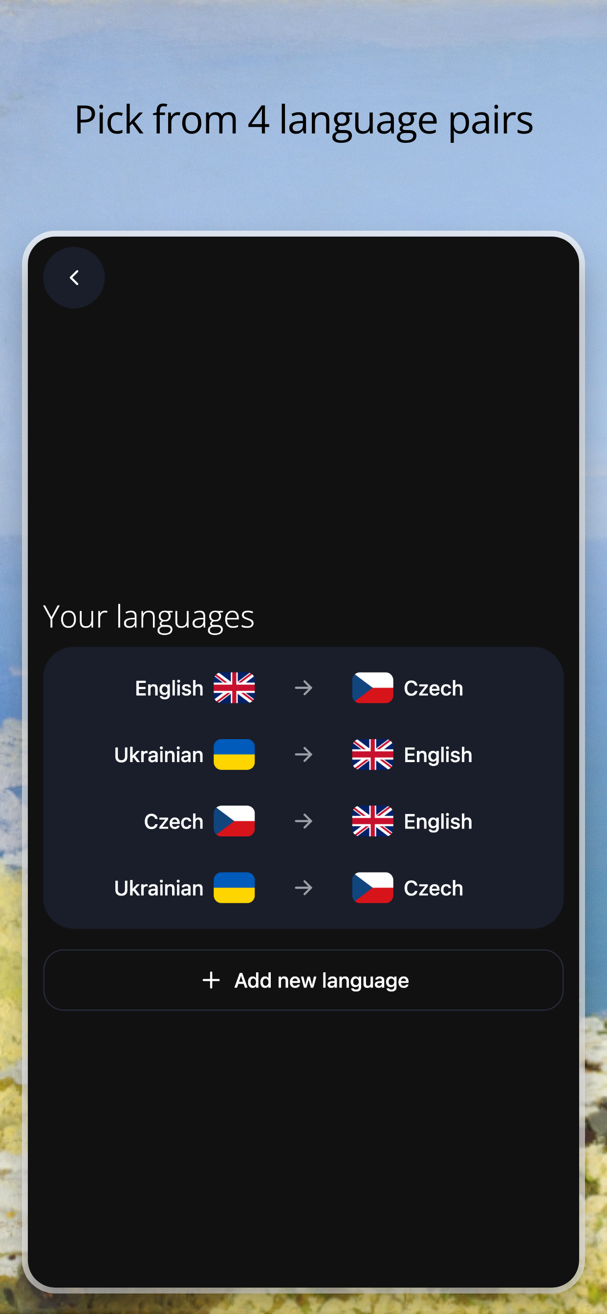 Chunkis - Learn Languages screenshot 4