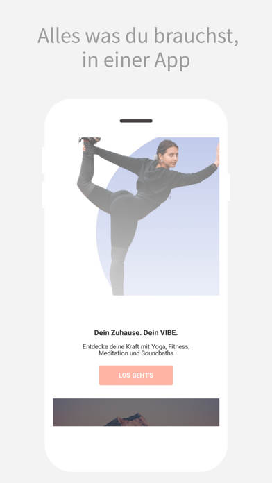 Dein VIBE Screenshot
