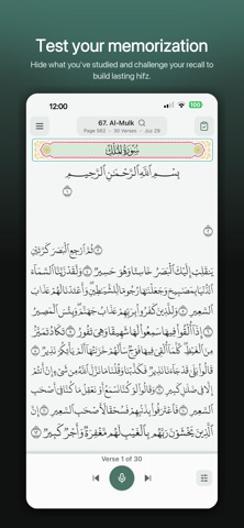 Hifzan: Quran Memorization screenshot