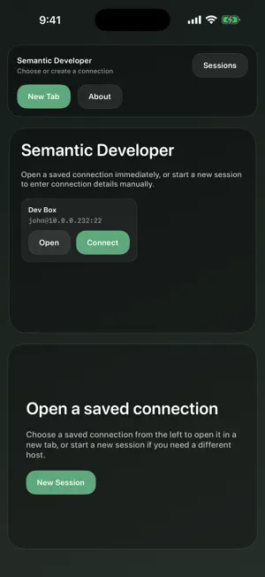 Semantic Developer screenshot 2