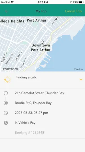 Roach's Taxi screenshot 4