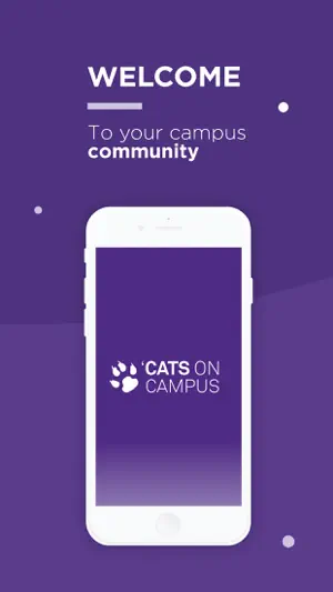 Cats on Campus screenshot 1