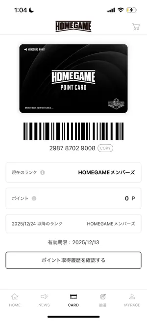 HOMEGAME screenshot 3