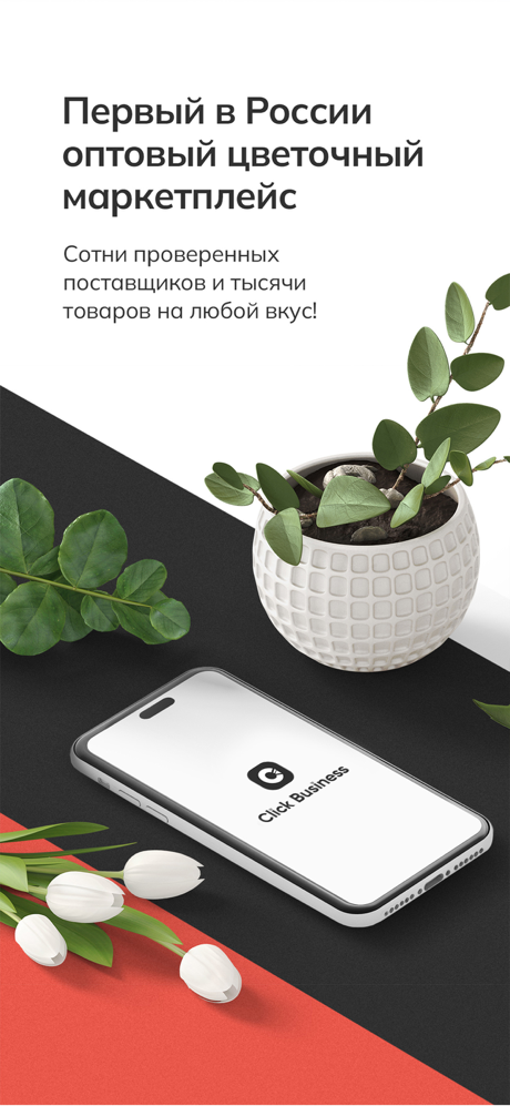 Click Business screenshot 1