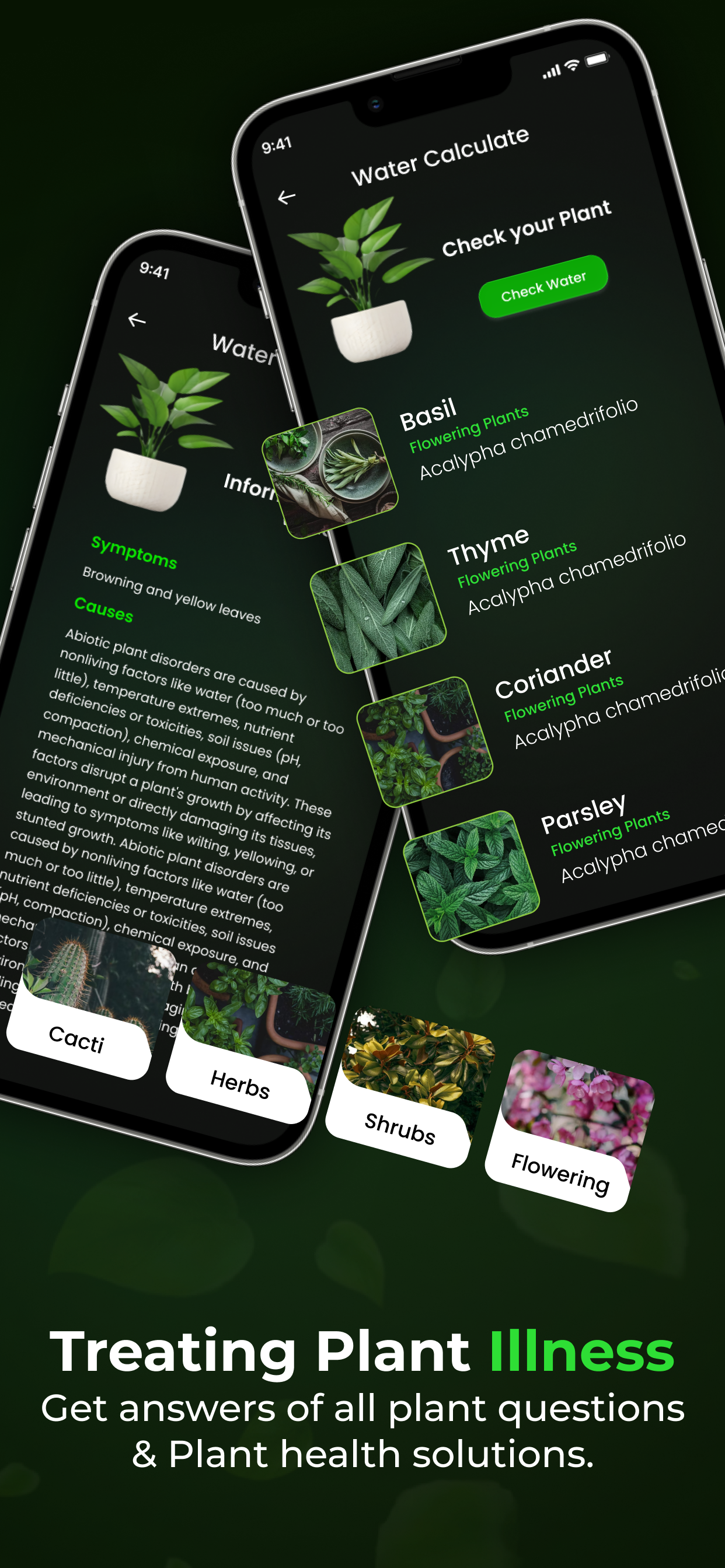 Plantify – AI Plant Identifier