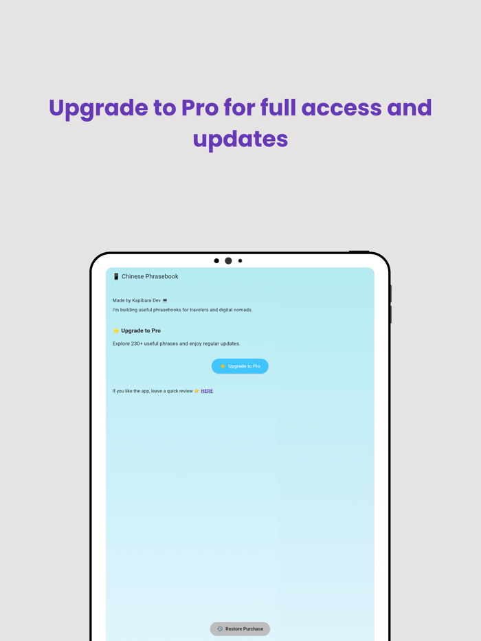 Chinese Phrasebook for Travel