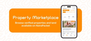 NairaPacket screenshot