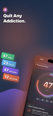 DayZero - Sober Tracker Screenshot 1 of 5