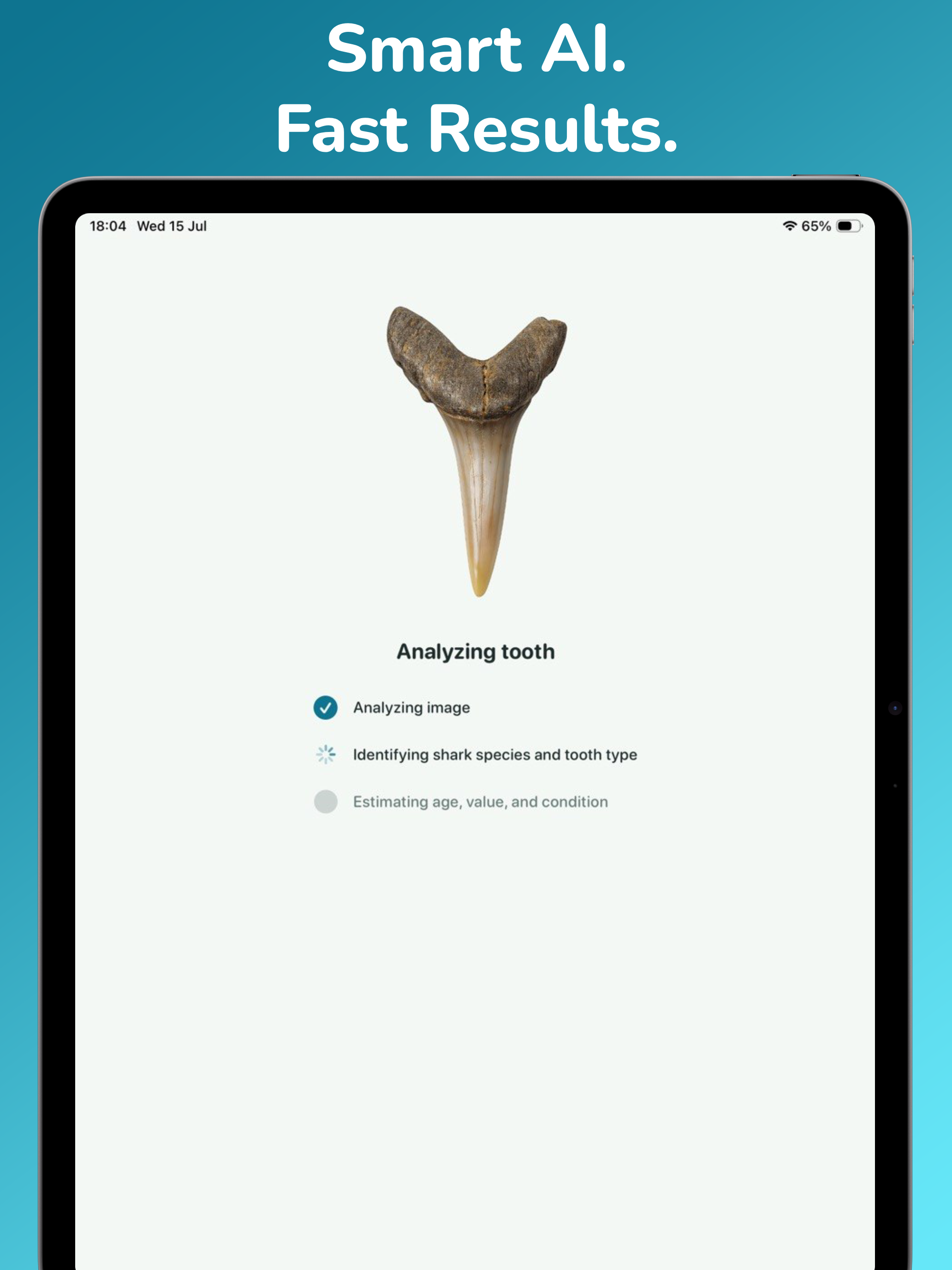 Shark Tooth Identifier:AI Scan screenshot 8