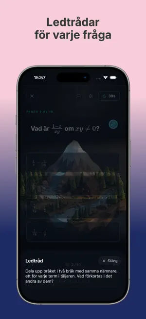 Lilla Högskoleprovet screenshot 3