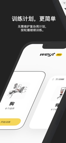 Weyt - 简单训练记录 screenshot