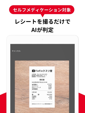 ベネステ確定申告｜控除・副業申告アプリ iPad screenshot