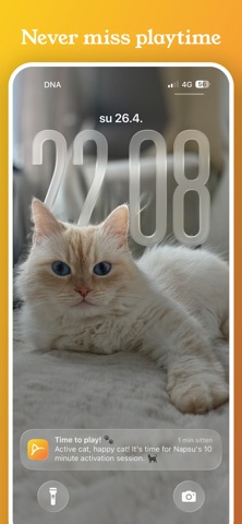 Happy Cat App Screenshot 2 of 7