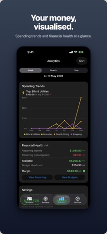 BudgetDaily screenshot