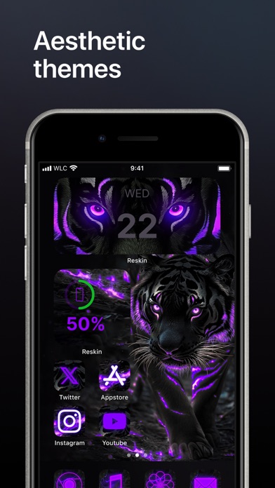 Reskin: Themes, Widgets, Icons Screenshot