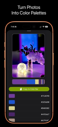 Pigments Studio screenshot