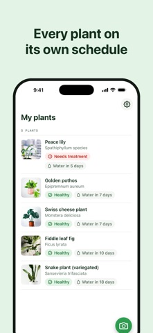 Plant Identifier: Care & Heal screenshot 4