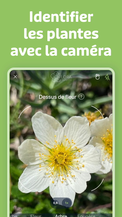 Screenshot #2 pour Flora Incognita