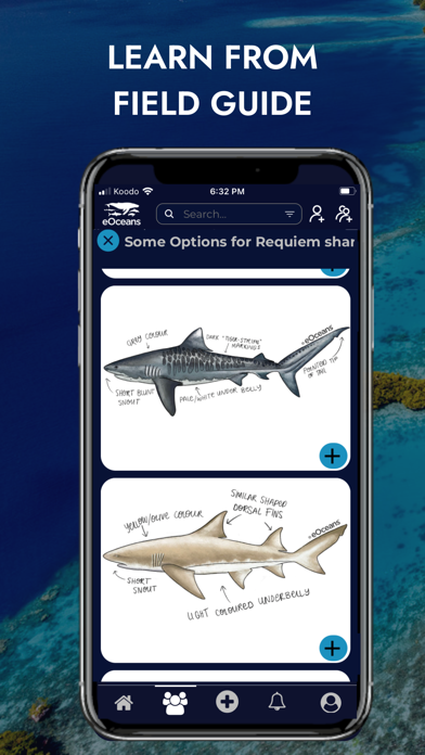 eOceans iPhone screenshot 9 - Utilities app