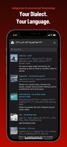 SIKU screenshot