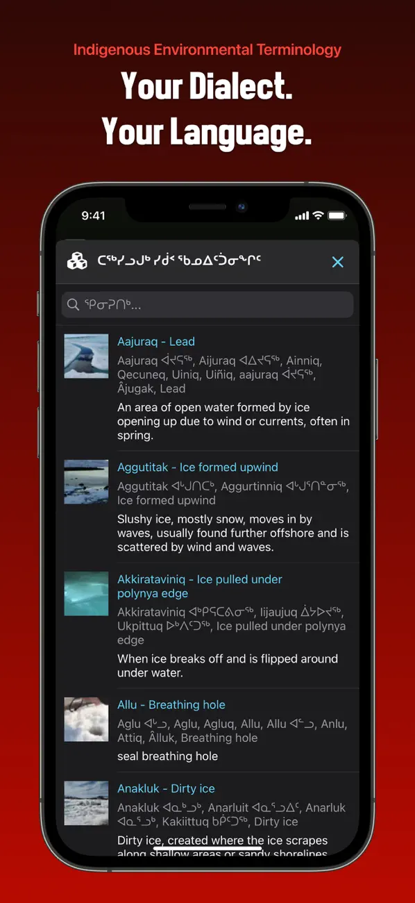 Screenshot #3 pour SIKU