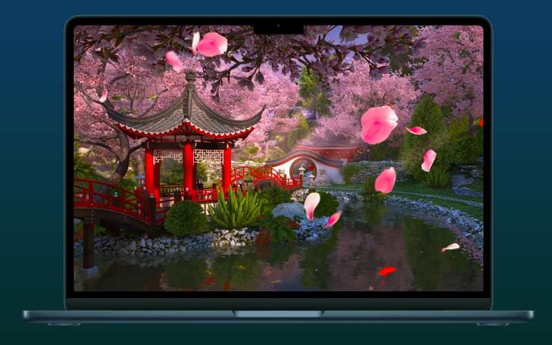 Screen Wonders Screenshot